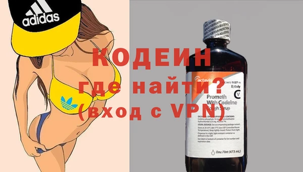 прущие грибы Абинск