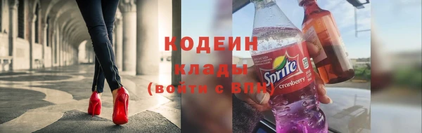 прущие грибы Абинск