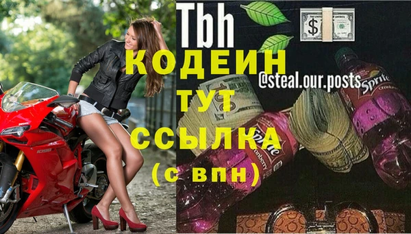 прущие грибы Абинск