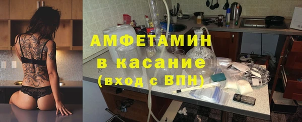 прущие грибы Абинск
