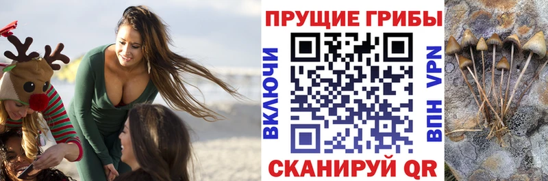 Псилоцибиновые грибы GOLDEN TEACHER  Сурск 