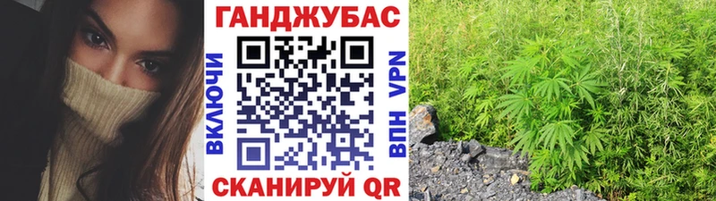 Шишки марихуана индика  Сурск 